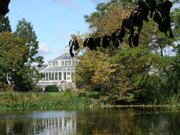 Photograph - Copenhagen Botanical Garden Glass House viewed across the Lake