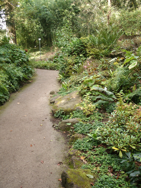 Photograph - Green walkway, Munich Botanical Garden