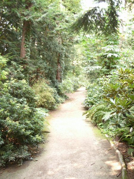 Photograph - Munich Botanical Garden, Pathway, light