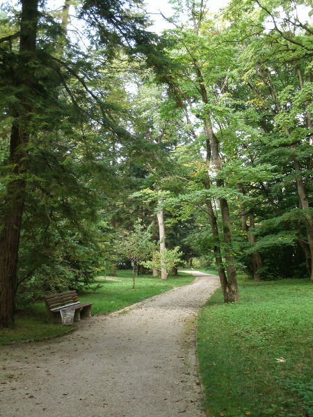 Photograph - Open Pathway, Munich Botanical Garden