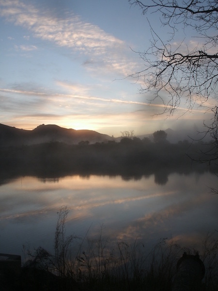 Photograph - Foggy Sunrise, Niles Hills