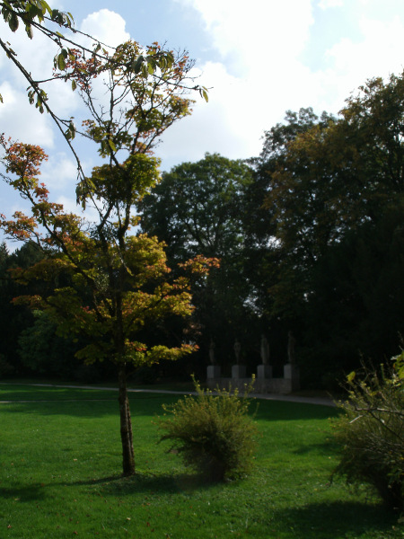 Photograph - Park Tree, Munich