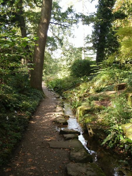 Photograph - Pathway and Stream, Munich Botanical Garden
